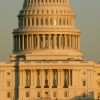 mande wilkes term limits mande wilkes term limits