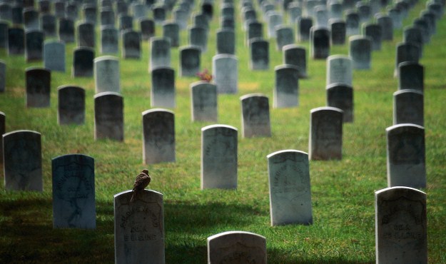dead voters south carolina