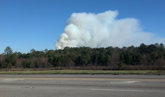 fort jackson controlled burn