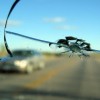 windshield bullies