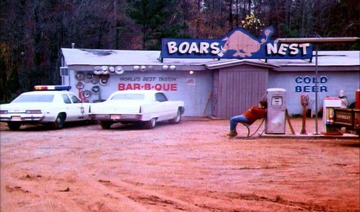 boars nest